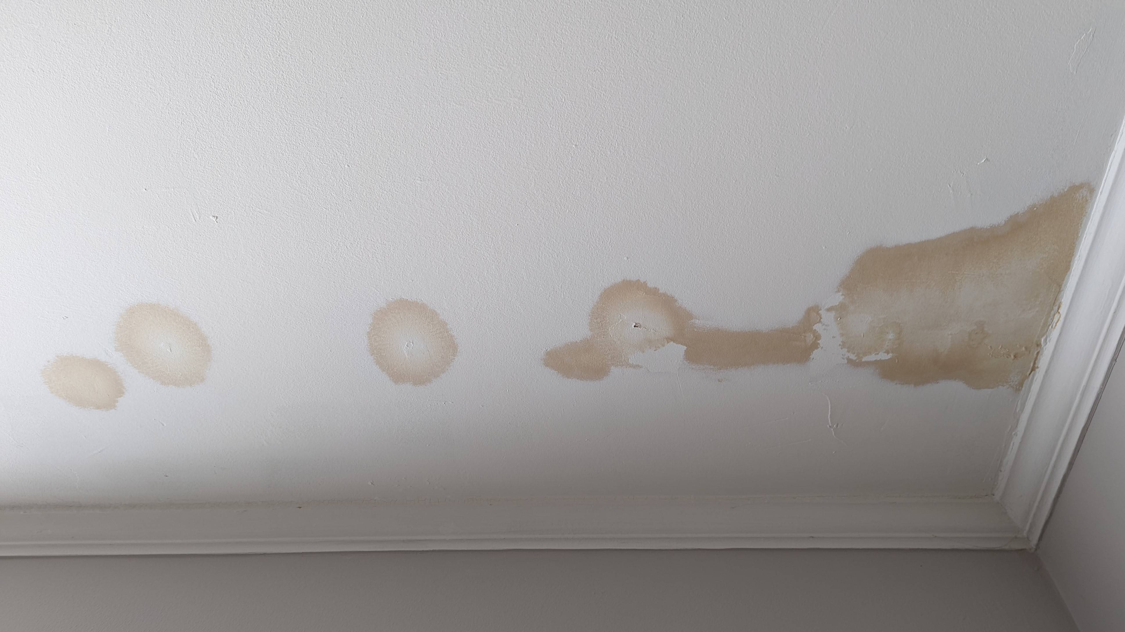 Leaking Roof